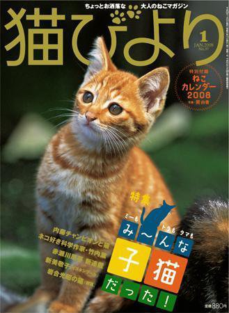 猫びより 37号 (発売日2007年12月12日) 表紙