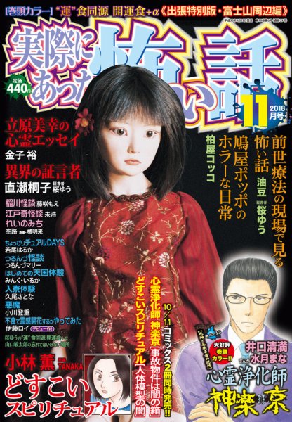 実際にあった怖い話 2018年11月号 (発売日2018年09月22日) 表紙