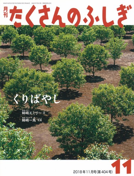 たくさんのふしぎ 2018年11月号 (発売日2018年10月03日) 表紙