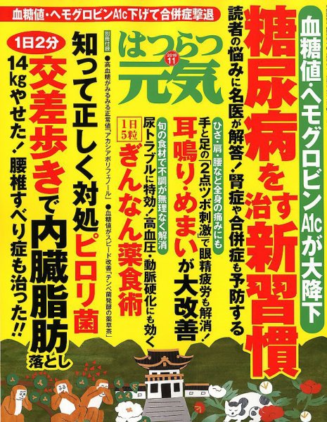 はつらつ元気 2018年11月号 (発売日2018年10月02日) 表紙