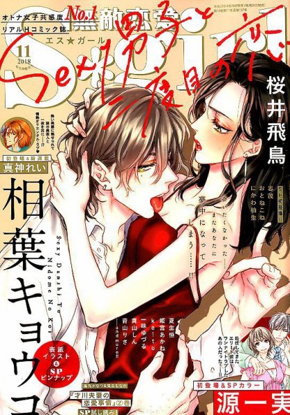 無敵恋愛S･girl (エスガール)DX 2018年11月号 (発売日2018年09月29日) 表紙