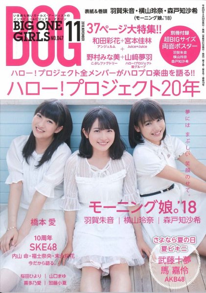 BIG ONE GIRLS（ビッグワンガールズ） 2018年11月号 (発売日2018年09月29日) 表紙
