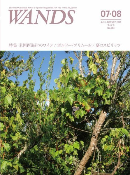 WANDS（ウォンズ） 第394号 (発売日2018年07月10日) 表紙