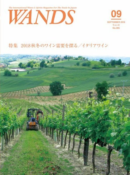 WANDS（ウォンズ） 第395号 (発売日2018年09月06日) 表紙
