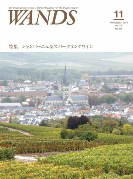 WANDS（ウォンズ） 第397号 (発売日2018年11月05日) 表紙