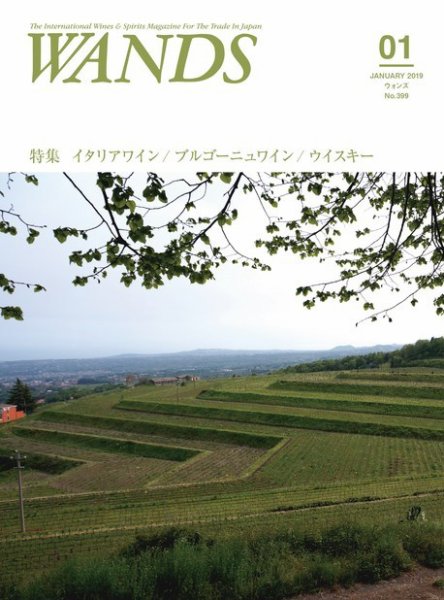 WANDS（ウォンズ） 第399号 (発売日2019年01月05日) 表紙