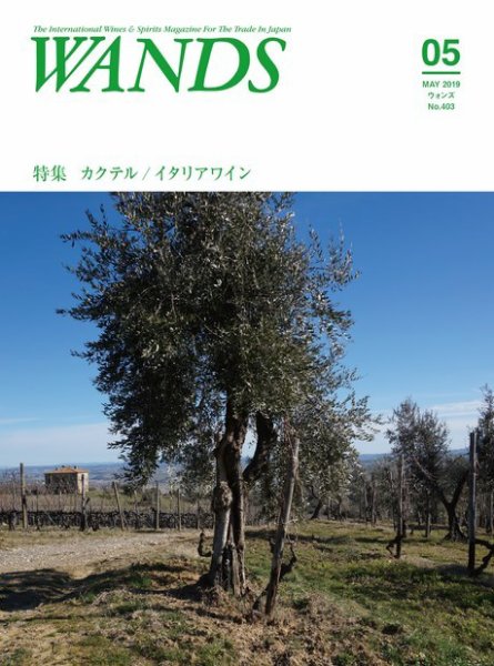 WANDS（ウォンズ） 第403号 (発売日2019年05月07日) 表紙