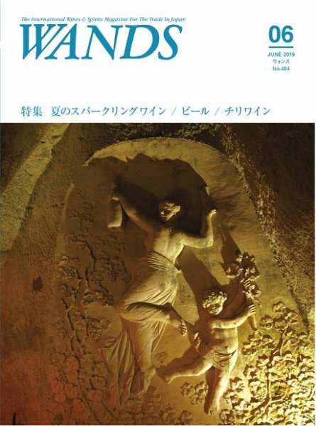WANDS（ウォンズ） 第404号 (発売日2019年06月05日) 表紙