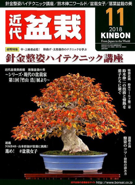 月刊 近代盆栽 2018年11月号 (発売日2018年10月04日) 表紙