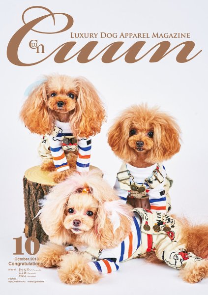 Cuun（クーン） 2018年10月号 (発売日2018年10月10日) 表紙