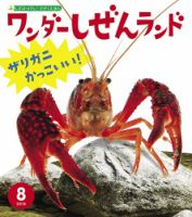 ワンダーしぜんランド 2018年8月号 表紙