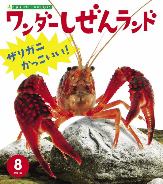 ワンダーしぜんランド 2018年8月号 (発売日2018年08月01日) 表紙