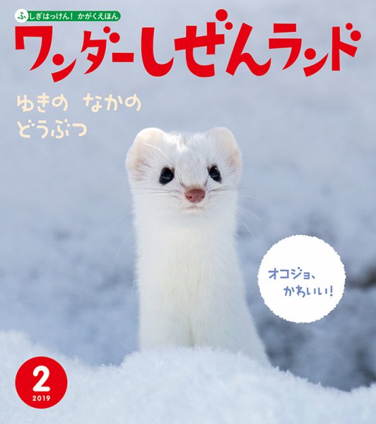 ワンダーしぜんランド 2019年2月号 (発売日2019年02月01日) 表紙