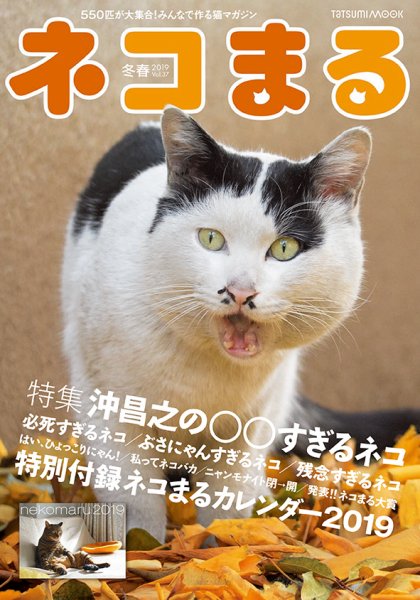 ネコまる Vol.37 (発売日2018年11月21日) 表紙