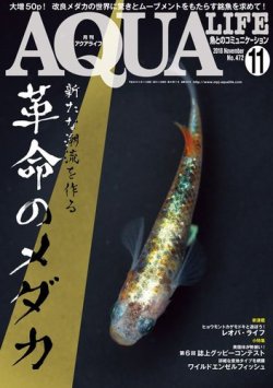 雑誌 定期購読の予約はfujisan 雑誌内検索 メス がアクアライフの18年10月11日発売号で見つかりました