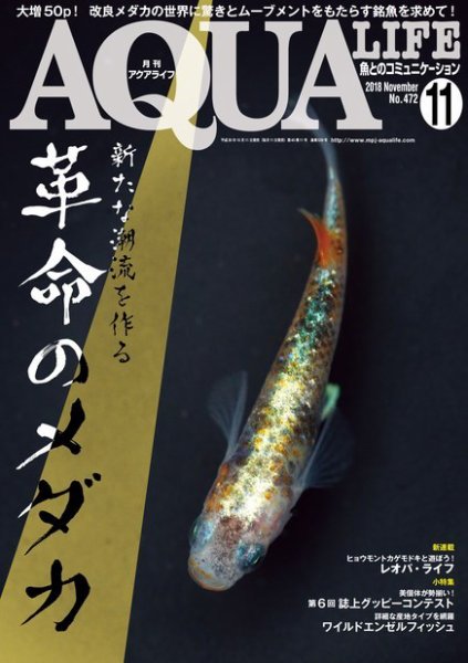 アクアライフ 11月号 (発売日2018年10月11日) 表紙