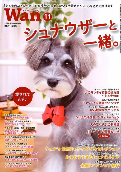 wan（わん） 2018年11月号 (発売日2018年10月12日) 表紙