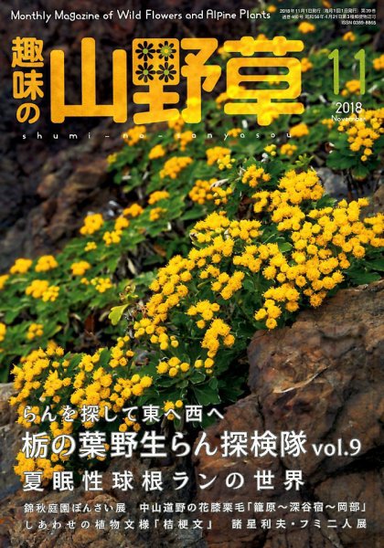 趣味の山野草 2018年11月号 (発売日2018年10月12日) 表紙