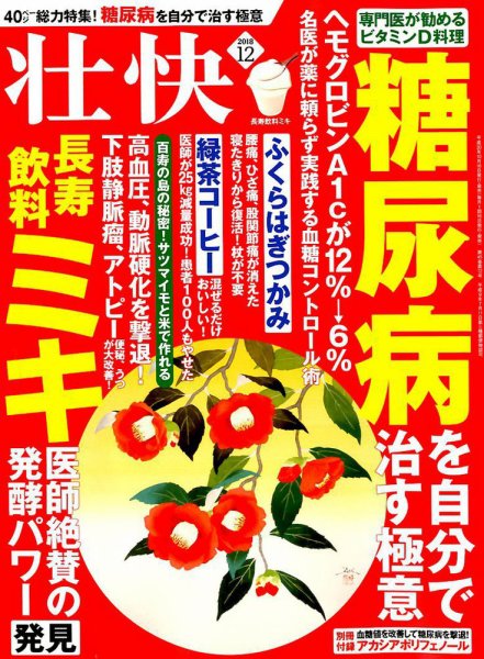 壮快 2018年12月号 (発売日2018年10月16日) 表紙