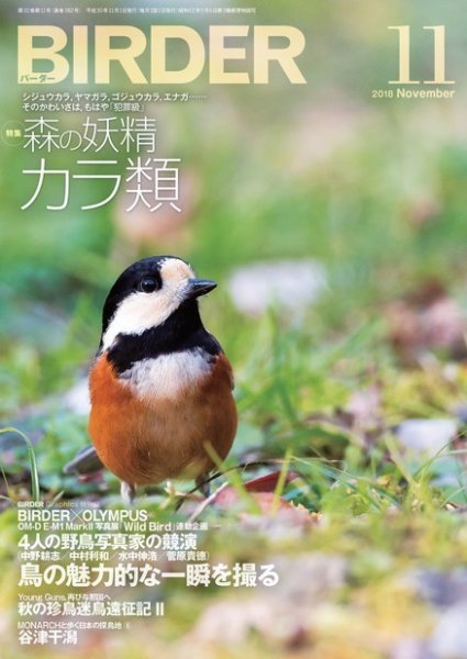 BIRDER（バーダー） 2018年11月号 (発売日2018年10月16日) 表紙