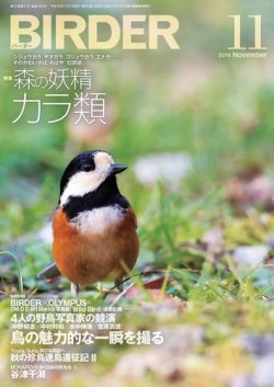 BIRDER（バーダー） 2018年11月号 (発売日2018年10月16日) | 雑誌/電子
