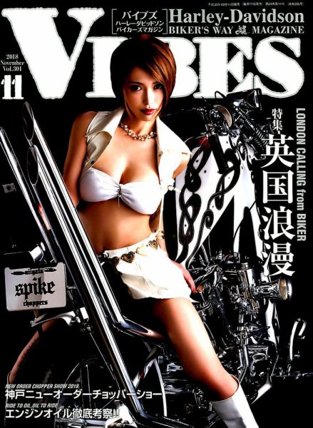 VIBES（バイブズ） 2018年11月号 (発売日2018年10月11日) 表紙