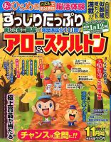 ずっしりたっぷりアロー＆スケルトン 2018年11月号 表紙