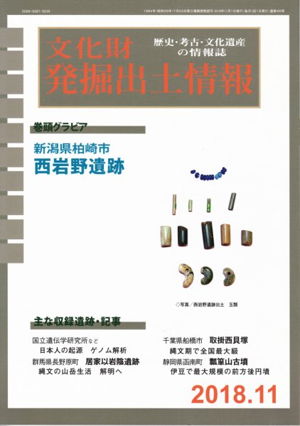文化財発掘出土情報 450号 (発売日2018年11月01日) 表紙
