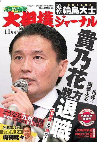 平成30年11月場所 大相撲番付表 詳し