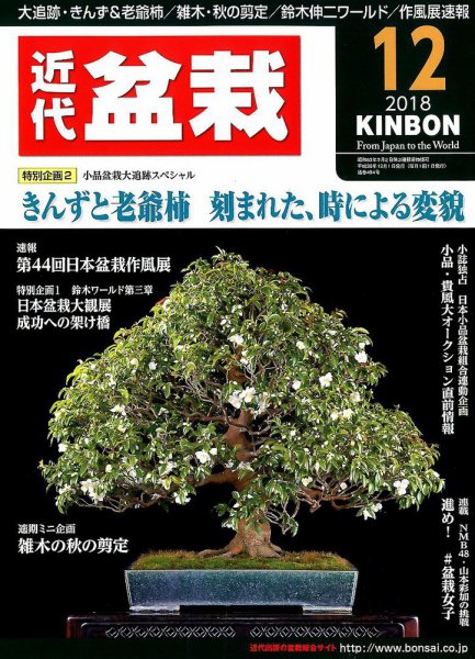 月刊 近代盆栽 2018年12月号 (発売日2018年11月02日) 表紙