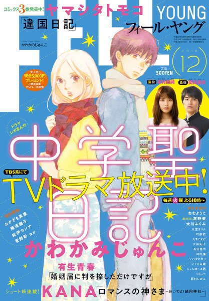 フィールヤング 2018年12月号 (発売日2018年11月08日) 表紙