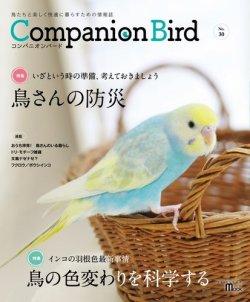コンパニオンバード NO.30 (発売日2018年12月11日) 表紙