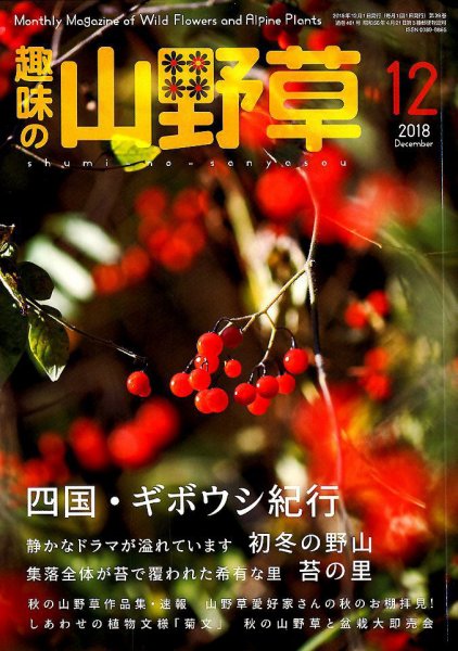 趣味の山野草 2018年12月号 (発売日2018年11月12日) 表紙