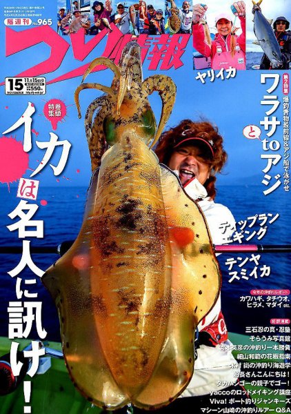 つり情報 2018年11/15号 (発売日2018年11月01日) 表紙
