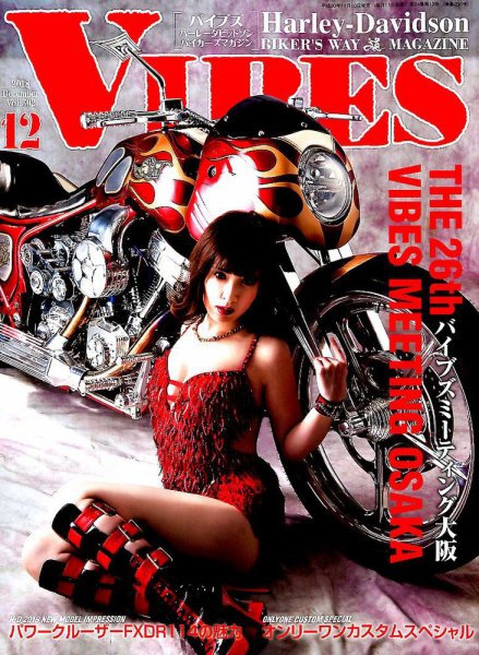 VIBES（バイブズ） 2018年12月号 (発売日2018年11月10日) 表紙
