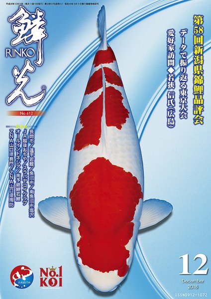 鱗光 2018年11月15日発売号 表紙
