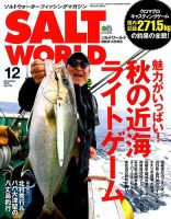 SALT WORLD（ソルトワールド） 2018年12月号 表紙