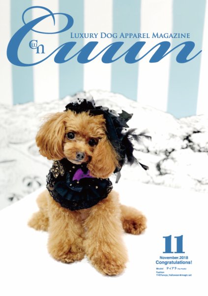 Cuun（クーン） 2018年11月号 (発売日2018年11月10日) 表紙