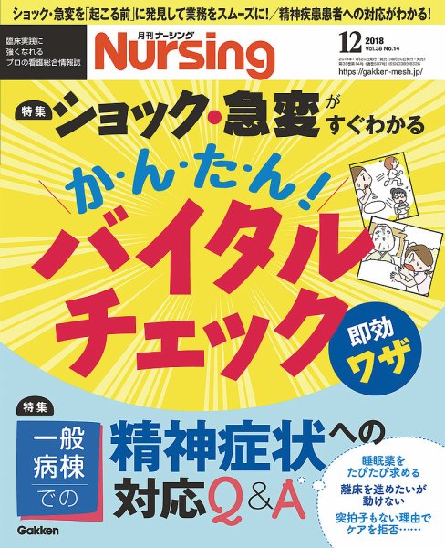 ナーシング Vol.38 No.14 (発売日2018年11月20日) 表紙