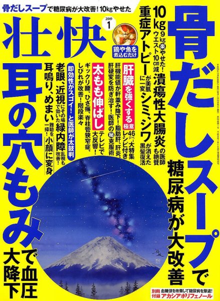壮快 2019年1月号 (発売日2018年11月16日) 表紙