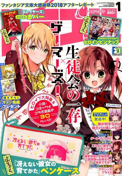 DRAGON MAGAZINE (ドラゴンマガジン) 2019年1月号 (発売日2018年11月20日) 表紙