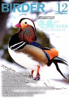 BIRDER（バーダー） 2018年12月号 表紙