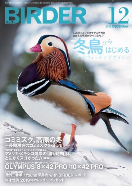 BIRDER（バーダー） 2018年12月号 (発売日2018年11月16日) 表紙