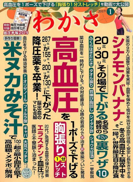 わかさ 2019年1月号 (発売日2018年11月16日) 表紙