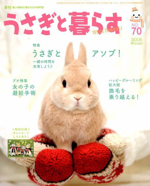 うさぎと暮らす 2019年1月号 (発売日2018年11月19日) 表紙