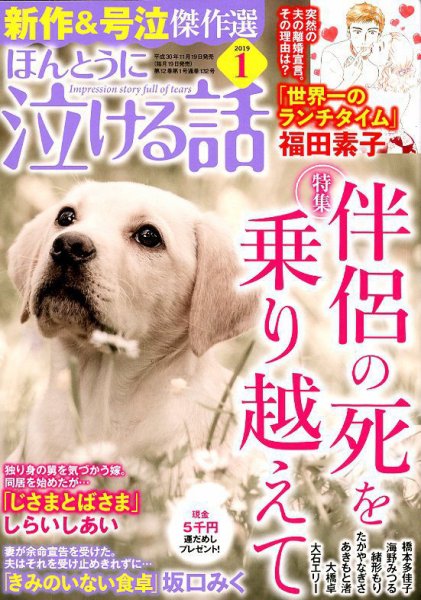 ほんとうに泣ける話 2019年1月号 (発売日2018年11月19日) 表紙
