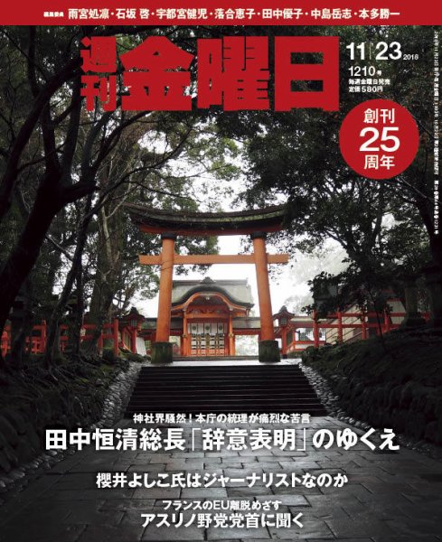 週刊金曜日 1210号 (発売日2018年11月22日) 表紙