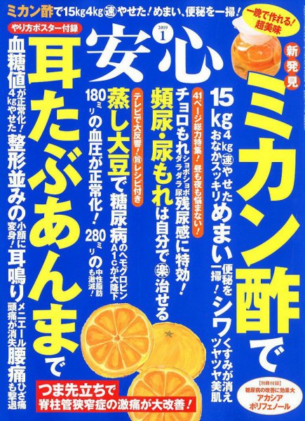 安心 2019年1月号 (発売日2018年12月01日) 表紙