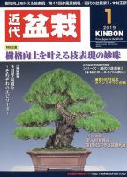 日本限定モデル】 2012年4月 近代盆栽 松柏の植え替え特集｜雑
