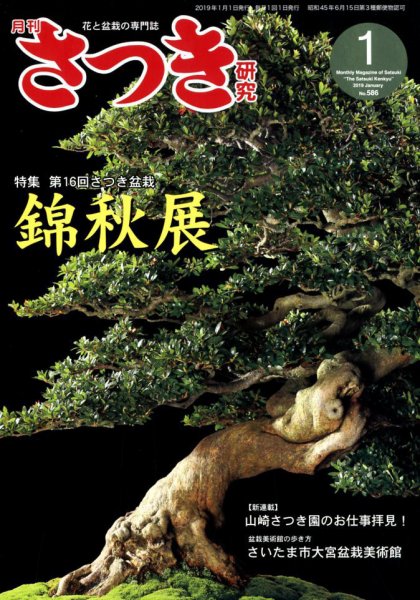 さつき研究 2019年1月号 (発売日2018年12月05日) 表紙